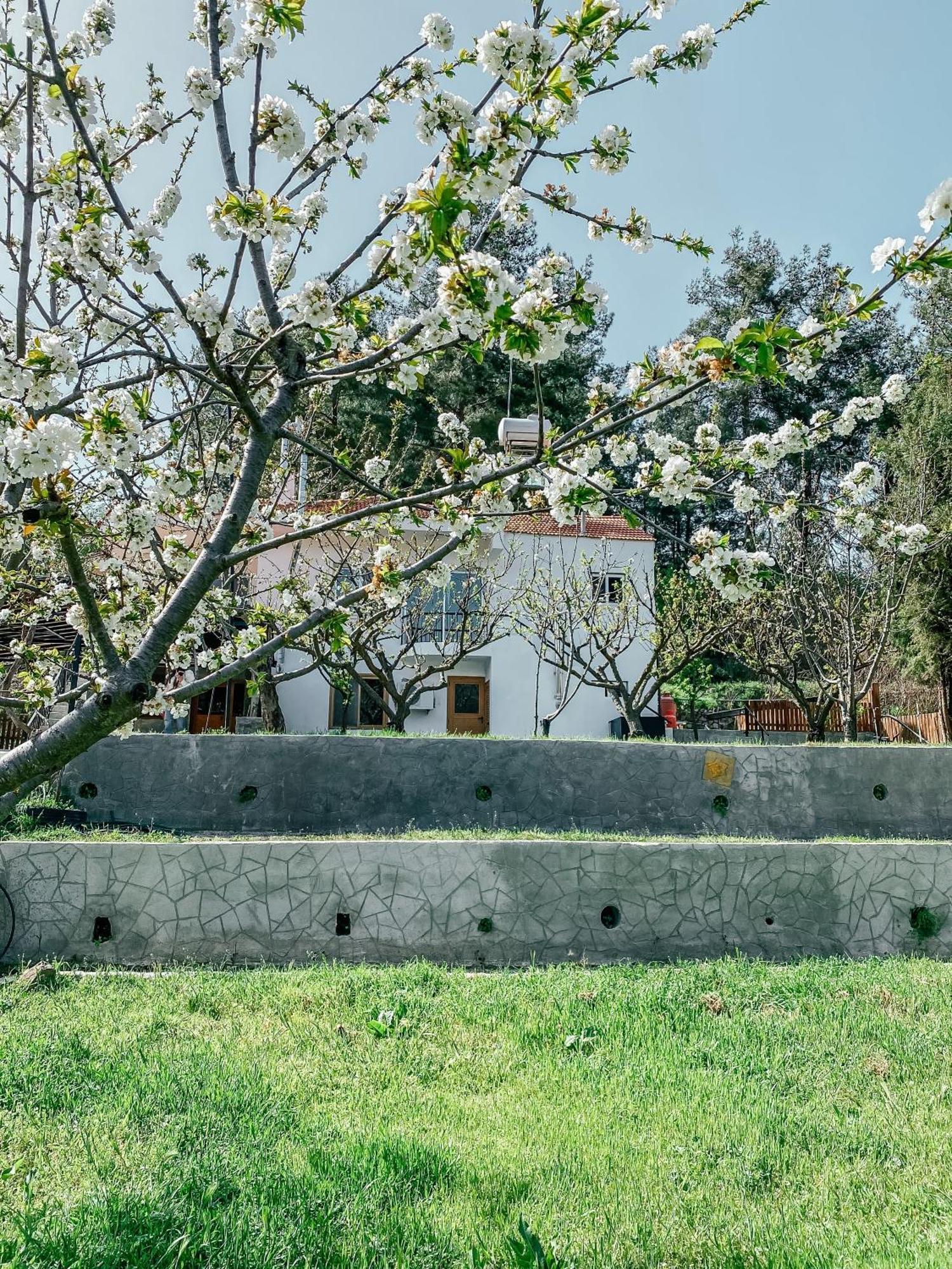 Villa Milea Mansion Limassol Exterior foto